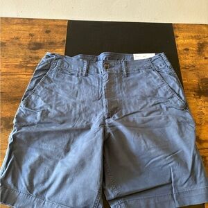 American Eagle Outfitters Navy Flat-Front Cotton Shorts